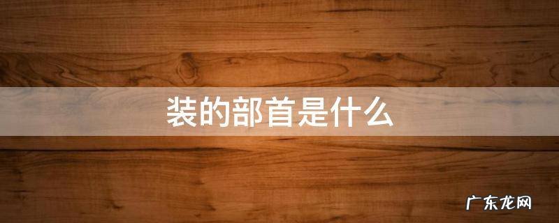 装的部首是什么偏旁法 装的部首是什么
