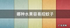 哪种水果更容易招蚊子 哪种水果容易招蚊子