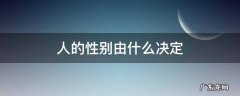 人的性别由什么决定 人的性别由什么决定男(女(