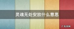 无处安放的灵魂 灵魂无处安放什么意思