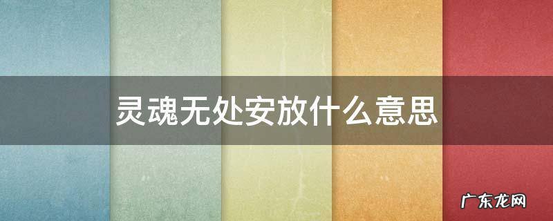无处安放的灵魂 灵魂无处安放什么意思