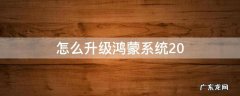 怎么升级鸿蒙系统2.0 荣耀手机怎么升级鸿蒙系统2.0