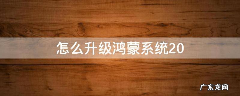 怎么升级鸿蒙系统2.0 荣耀手机怎么升级鸿蒙系统2.0