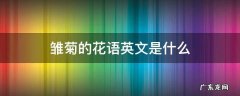 小雏菊的花语和寓意英语单词 雏菊的花语英文是什么