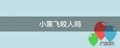 小黑飞咬人吗 小黑飞虫咬了怎么办