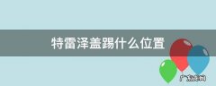 特雷泽盖哪个球队 特雷泽盖踢什么位置