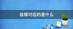 翁女婿是什么意思 翁婿对应的是什么