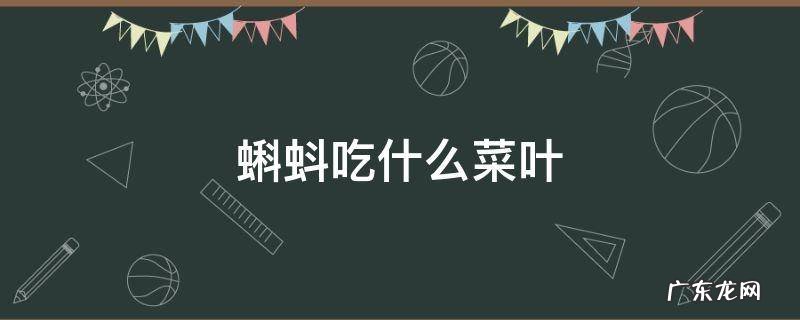蝌蚪吃菜叶子吗 蝌蚪吃什么菜叶