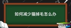 如何减少猫掉毛怎么办 怎样减轻猫咪掉毛