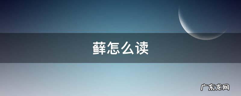 藓怎么读 薛怎么读