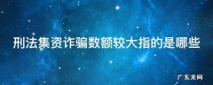 刑法集资诈骗数额较大指的是哪些