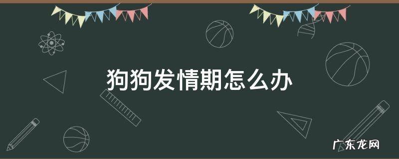 狗狗发情期怎么办 狗狗建不建议绝育