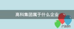 高科是什么企业 高科集团属于什么企业