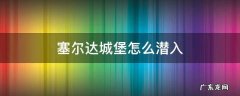 塞尔达城堡怎么潜入 塞尔达城堡怎么潜入偷武器