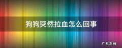 狗狗突然拉血怎么回事 狗狗便血是怎么回事