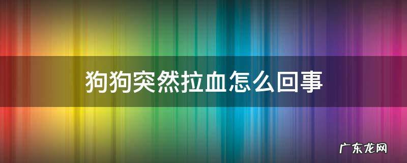 狗狗突然拉血怎么回事 狗狗便血是怎么回事