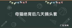 母猫绝育后几天摘头套 母猫绝育多久能摘掉头套