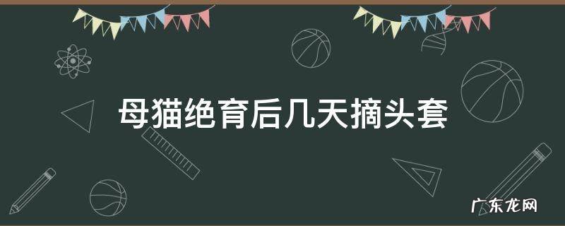 母猫绝育后几天摘头套 母猫绝育多久能摘掉头套