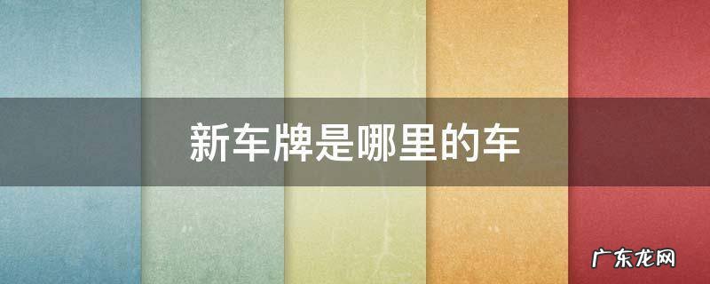 新车牌是哪里的车 车牌新是哪儿的车
