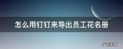 怎么用钉钉来导出员工花名册 如何在钉钉上下载一份员工花名册