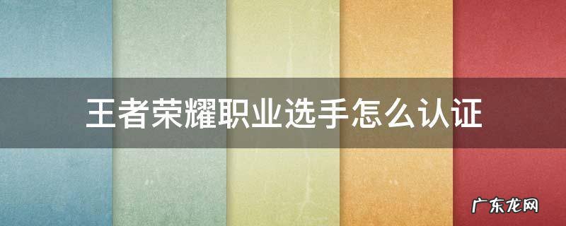 王者荣耀如何认证职业资格 王者荣耀职业选手怎么认证