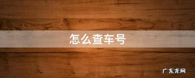 怎么查车牌号车主是谁 怎么查车号