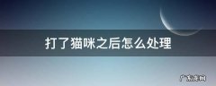 打了猫咪之后怎么办 打了猫咪之后怎么处理