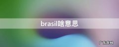 brasil啥意思 brasilia什么意思