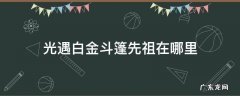 光遇白金斗篷先祖在哪里 光遇白银斗篷先祖