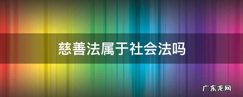 慈善法属于基本法律还是普通法律 慈善法属于社会法吗