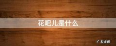 花吧什么意思 花吧儿是什么