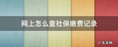 网上怎么查社保缴费记录 在网上怎样查社保缴费记录