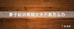 妻子起诉我离婚怎么办 妻子起诉离婚丈夫不离怎么办