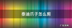泰迪爪子怎么剪 泰迪爪子怎么剪才不会抓伤人