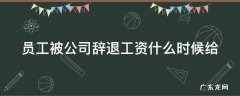 员工被辞退工资什么时候结 员工被公司辞退工资什么时候给