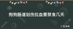狗狗肠胃拉血需要禁食几天 狗狗肠道划伤拉血要禁食几天