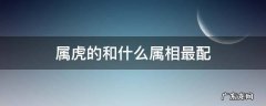 属虎的和什么属相最配 属虎的和什么属相最配对