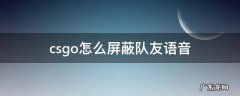 csgo怎么屏蔽队友语音 csgodemo怎么屏蔽队友语音
