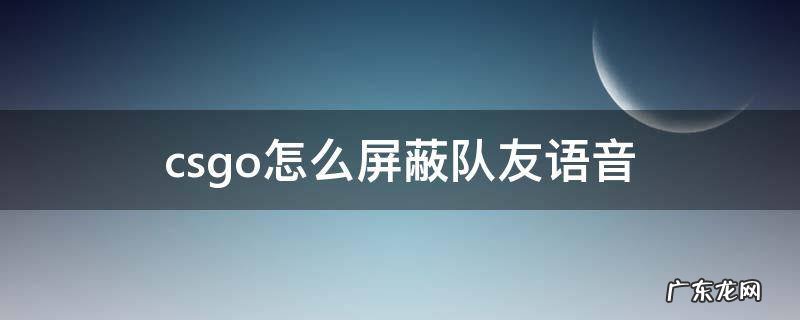 csgo怎么屏蔽队友语音 csgodemo怎么屏蔽队友语音
