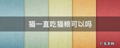 猫一直只吃猫粮可以吗 猫一直吃猫粮可以吗