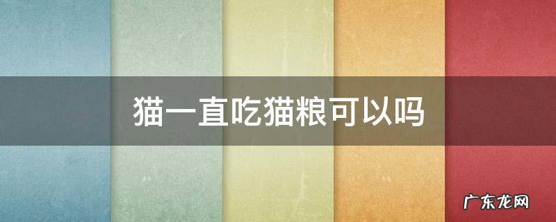 猫一直只吃猫粮可以吗 猫一直吃猫粮可以吗