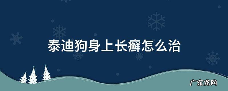 泰迪狗身上长癣怎么治 泰迪狗狗身上长癣图片