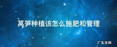 莴笋种植该怎么施肥和管理 种植莴笋施什么肥料