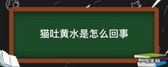 一个月小猫吐黄水是怎么回事 猫吐黄水是怎么回事
