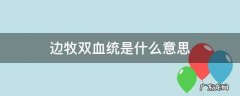 边牧双血统是什么意思 边牧双血统和单血统有什么区别