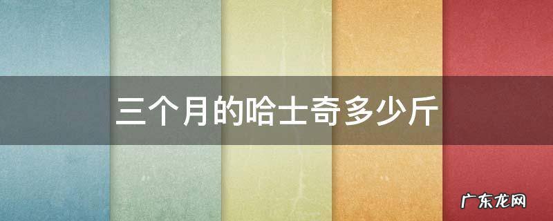 哈士奇三个月有多重 三个月的哈士奇多少斤