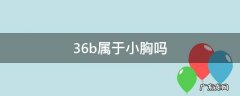 36a是属于小胸吗 36b属于小胸吗