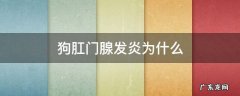 狗肛门腺发炎原因 狗肛门腺发炎为什么