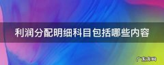 利润分配的明细科目包括哪些 利润分配明细科目包括哪些内容