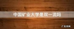 中国矿业大学是双一流吗 中国矿业大学是双一流高校吗